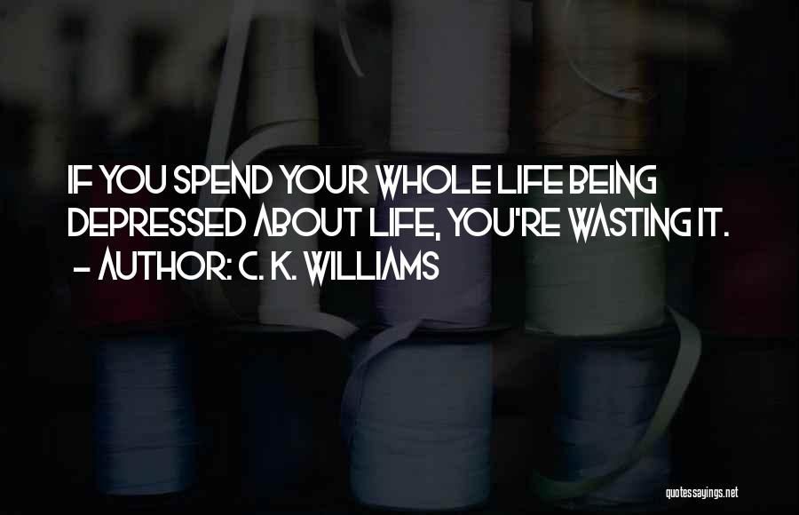 C. K. Williams Quotes: If You Spend Your Whole Life Being Depressed About Life, You're Wasting It.