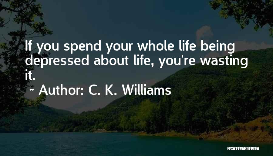 C. K. Williams Quotes: If You Spend Your Whole Life Being Depressed About Life, You're Wasting It.