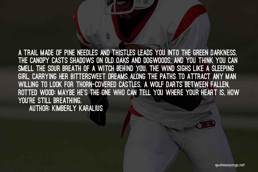 Kimberly Karalius Quotes: A Trail Made Of Pine Needles And Thistles Leads You Into The Green Darkness. The Canopy Casts Shadows On Old