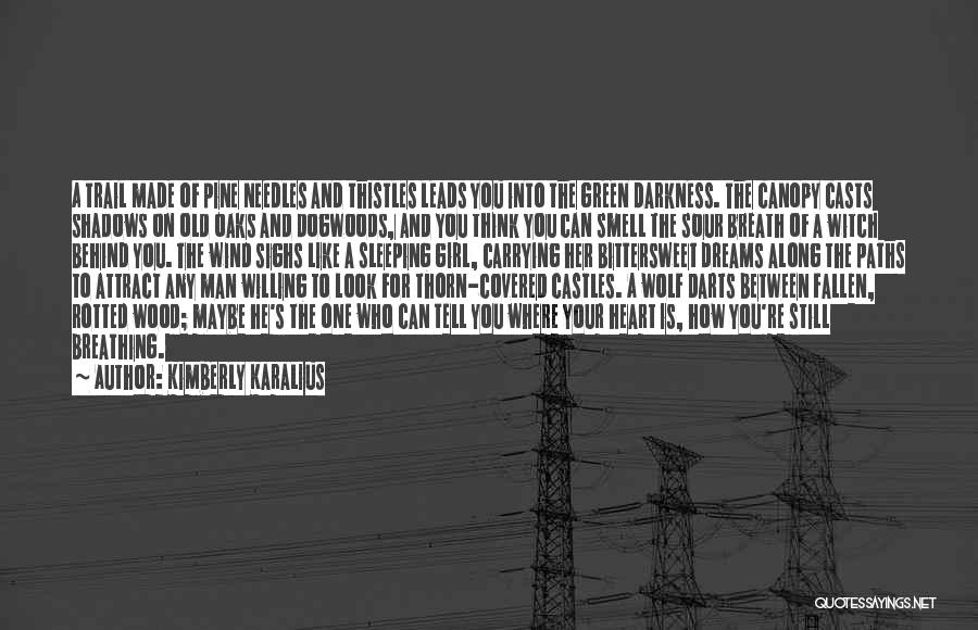 Kimberly Karalius Quotes: A Trail Made Of Pine Needles And Thistles Leads You Into The Green Darkness. The Canopy Casts Shadows On Old