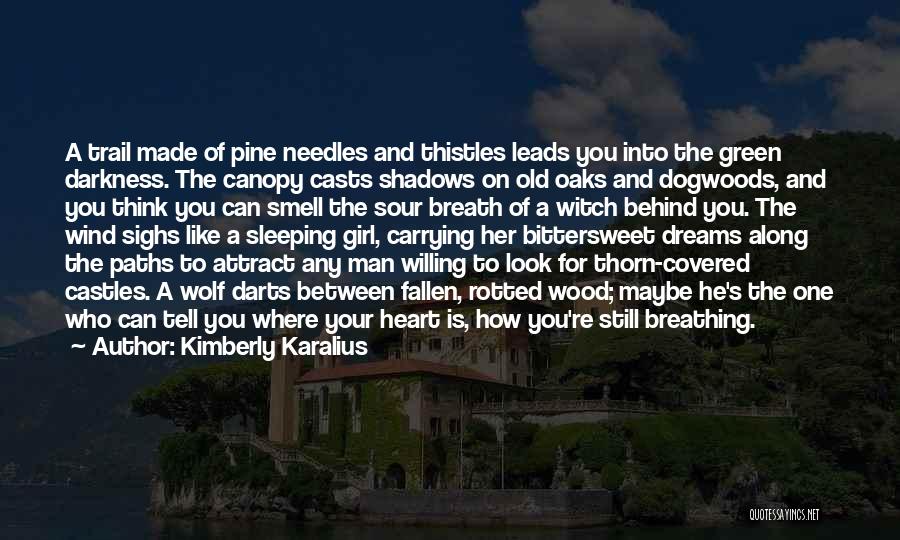 Kimberly Karalius Quotes: A Trail Made Of Pine Needles And Thistles Leads You Into The Green Darkness. The Canopy Casts Shadows On Old