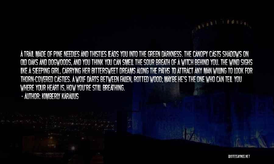 Kimberly Karalius Quotes: A Trail Made Of Pine Needles And Thistles Leads You Into The Green Darkness. The Canopy Casts Shadows On Old