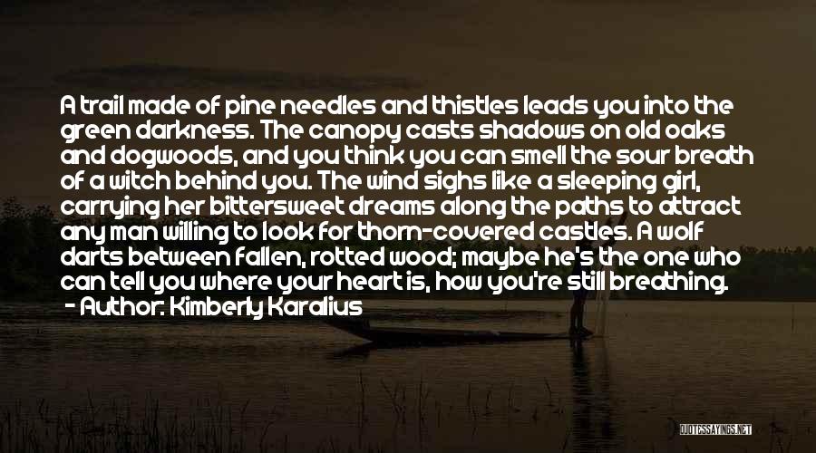 Kimberly Karalius Quotes: A Trail Made Of Pine Needles And Thistles Leads You Into The Green Darkness. The Canopy Casts Shadows On Old