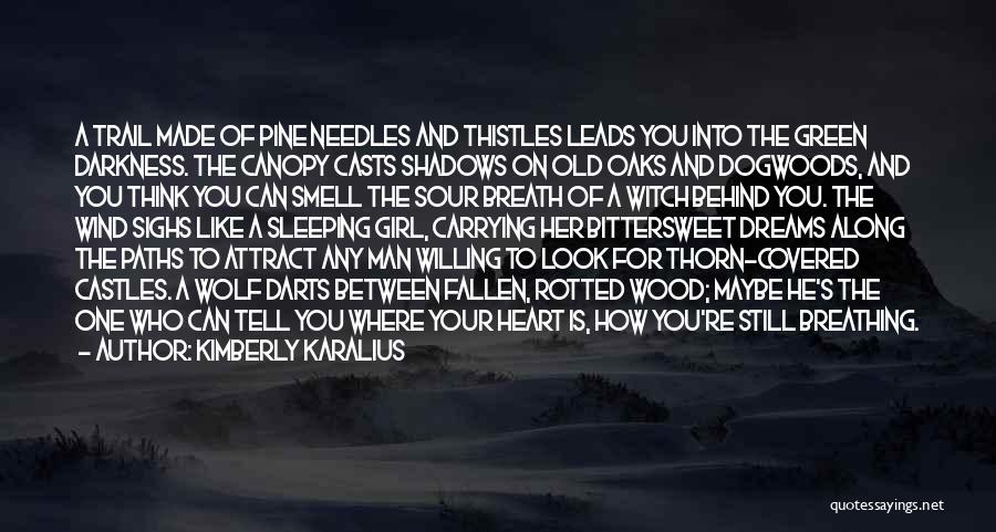 Kimberly Karalius Quotes: A Trail Made Of Pine Needles And Thistles Leads You Into The Green Darkness. The Canopy Casts Shadows On Old
