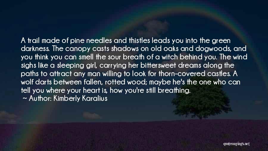 Kimberly Karalius Quotes: A Trail Made Of Pine Needles And Thistles Leads You Into The Green Darkness. The Canopy Casts Shadows On Old