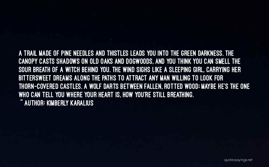 Kimberly Karalius Quotes: A Trail Made Of Pine Needles And Thistles Leads You Into The Green Darkness. The Canopy Casts Shadows On Old