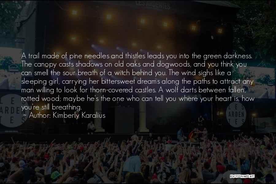 Kimberly Karalius Quotes: A Trail Made Of Pine Needles And Thistles Leads You Into The Green Darkness. The Canopy Casts Shadows On Old