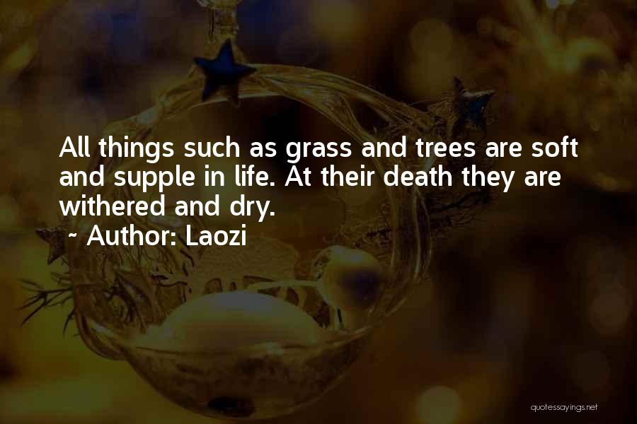 Laozi Quotes: All Things Such As Grass And Trees Are Soft And Supple In Life. At Their Death They Are Withered And