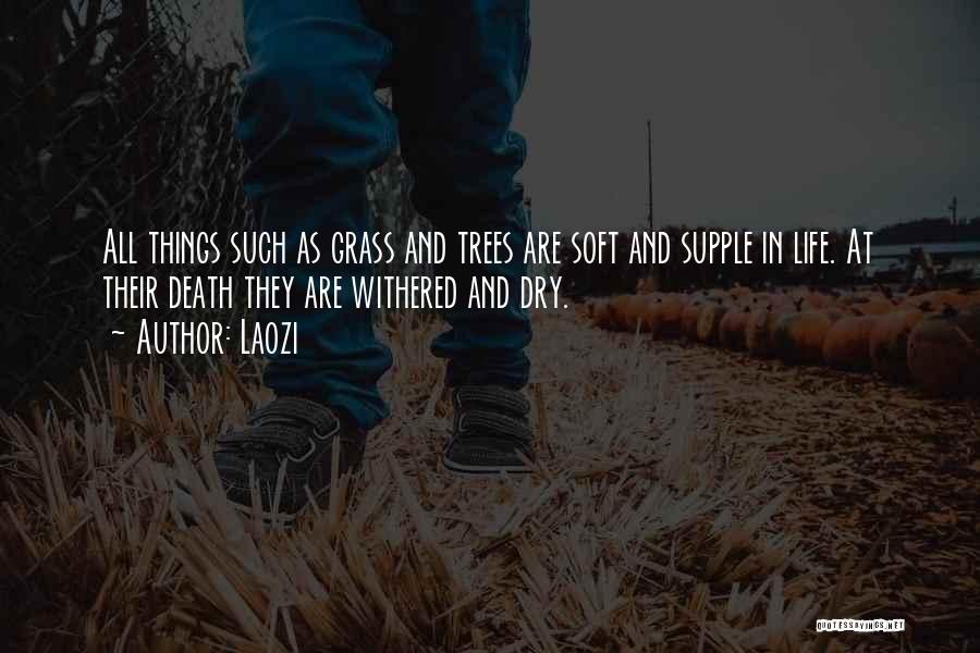 Laozi Quotes: All Things Such As Grass And Trees Are Soft And Supple In Life. At Their Death They Are Withered And