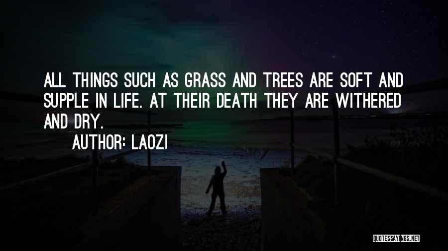 Laozi Quotes: All Things Such As Grass And Trees Are Soft And Supple In Life. At Their Death They Are Withered And