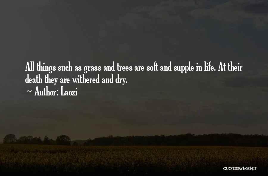 Laozi Quotes: All Things Such As Grass And Trees Are Soft And Supple In Life. At Their Death They Are Withered And