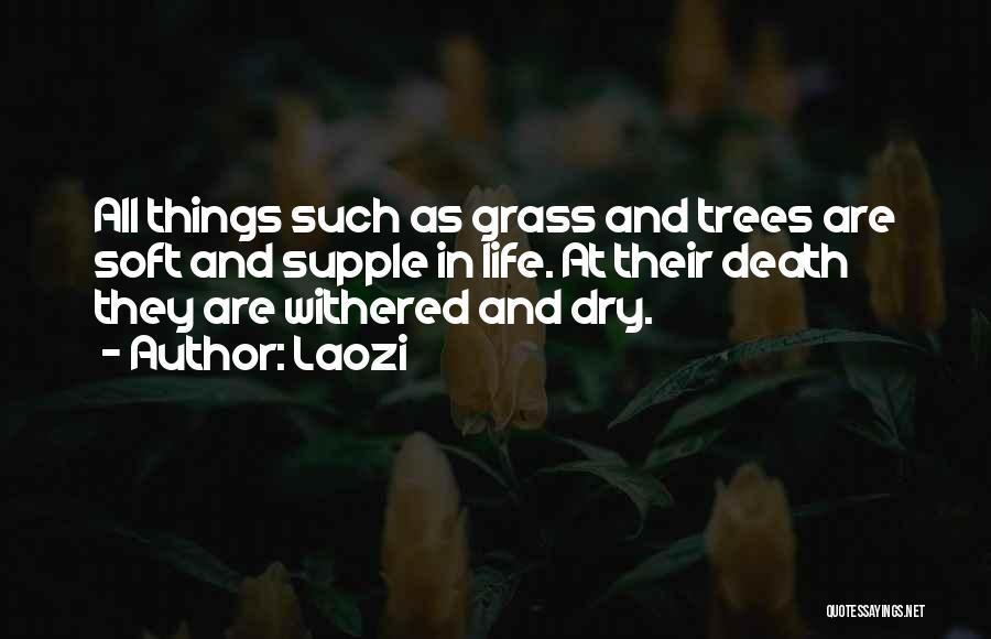 Laozi Quotes: All Things Such As Grass And Trees Are Soft And Supple In Life. At Their Death They Are Withered And