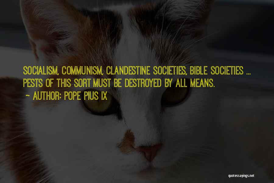 Pope Pius IX Quotes: Socialism, Communism, Clandestine Societies, Bible Societies ... Pests Of This Sort Must Be Destroyed By All Means.
