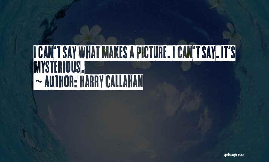 Harry Callahan Quotes: I Can't Say What Makes A Picture. I Can't Say. It's Mysterious.