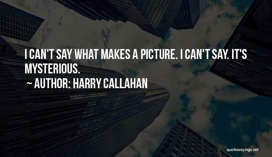 Harry Callahan Quotes: I Can't Say What Makes A Picture. I Can't Say. It's Mysterious.