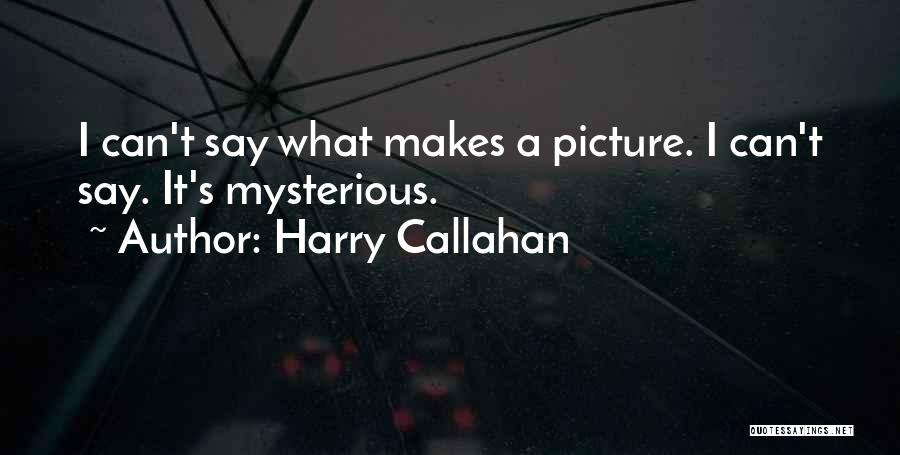 Harry Callahan Quotes: I Can't Say What Makes A Picture. I Can't Say. It's Mysterious.