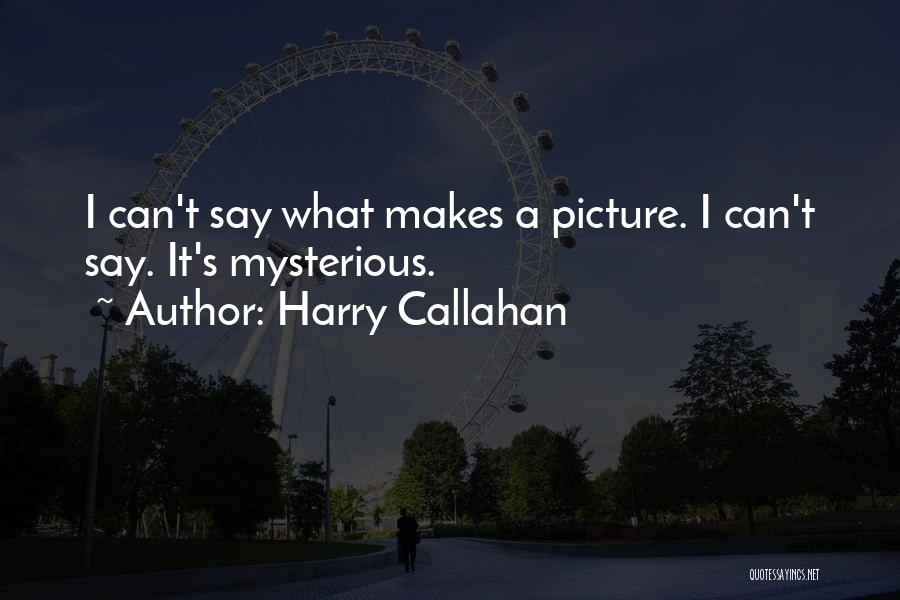 Harry Callahan Quotes: I Can't Say What Makes A Picture. I Can't Say. It's Mysterious.