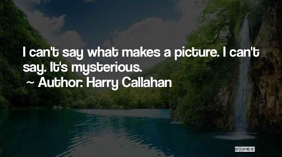 Harry Callahan Quotes: I Can't Say What Makes A Picture. I Can't Say. It's Mysterious.