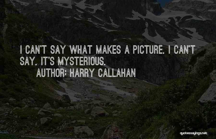 Harry Callahan Quotes: I Can't Say What Makes A Picture. I Can't Say. It's Mysterious.