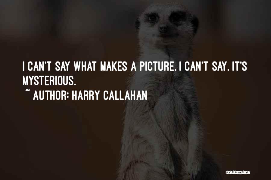 Harry Callahan Quotes: I Can't Say What Makes A Picture. I Can't Say. It's Mysterious.