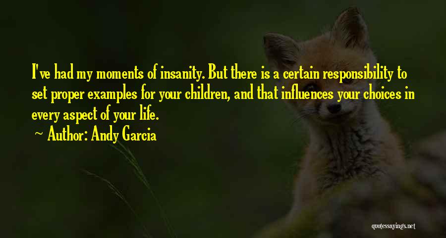 Andy Garcia Quotes: I've Had My Moments Of Insanity. But There Is A Certain Responsibility To Set Proper Examples For Your Children, And