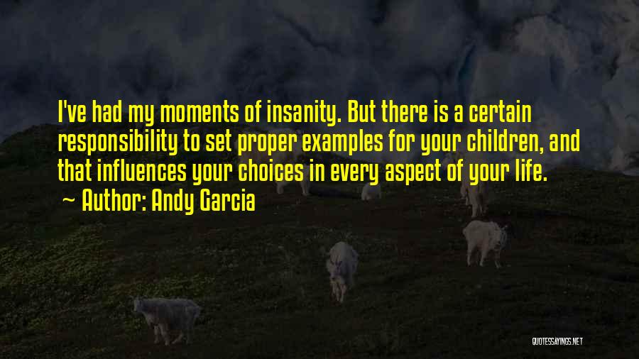 Andy Garcia Quotes: I've Had My Moments Of Insanity. But There Is A Certain Responsibility To Set Proper Examples For Your Children, And