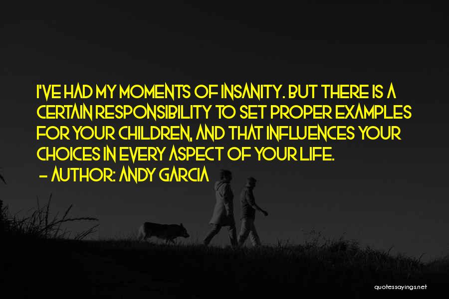 Andy Garcia Quotes: I've Had My Moments Of Insanity. But There Is A Certain Responsibility To Set Proper Examples For Your Children, And