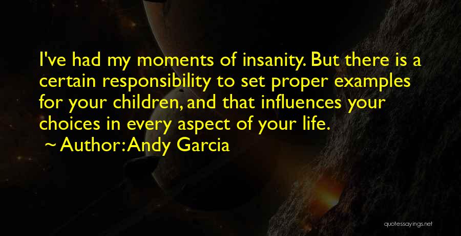 Andy Garcia Quotes: I've Had My Moments Of Insanity. But There Is A Certain Responsibility To Set Proper Examples For Your Children, And