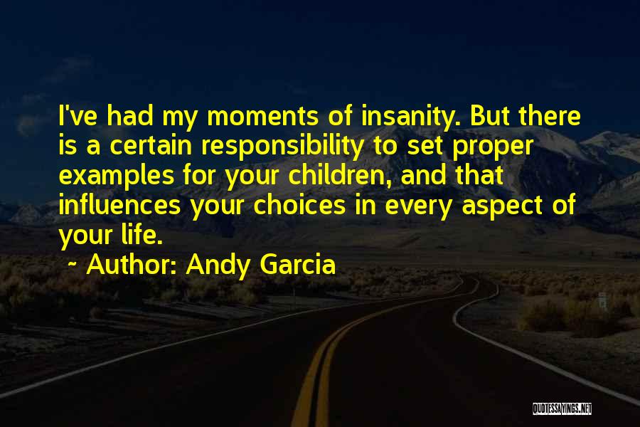 Andy Garcia Quotes: I've Had My Moments Of Insanity. But There Is A Certain Responsibility To Set Proper Examples For Your Children, And