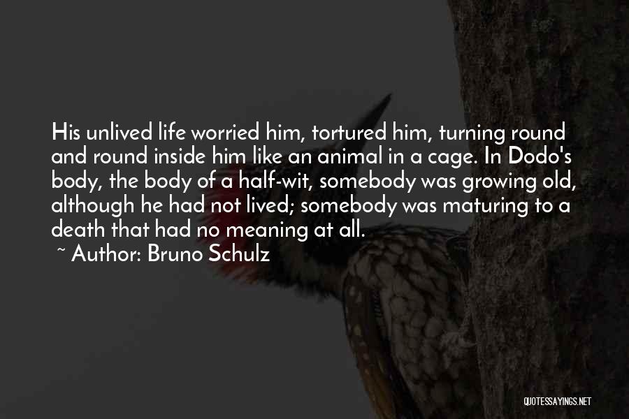 Bruno Schulz Quotes: His Unlived Life Worried Him, Tortured Him, Turning Round And Round Inside Him Like An Animal In A Cage. In