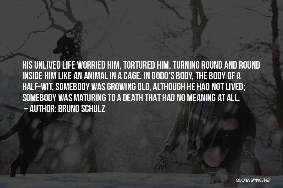 Bruno Schulz Quotes: His Unlived Life Worried Him, Tortured Him, Turning Round And Round Inside Him Like An Animal In A Cage. In