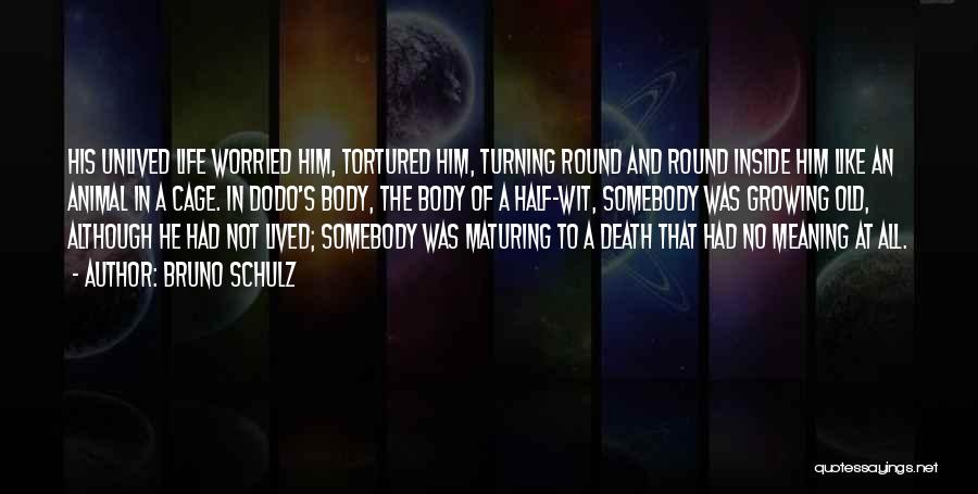 Bruno Schulz Quotes: His Unlived Life Worried Him, Tortured Him, Turning Round And Round Inside Him Like An Animal In A Cage. In