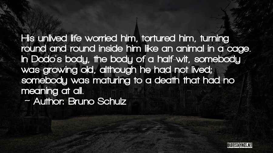Bruno Schulz Quotes: His Unlived Life Worried Him, Tortured Him, Turning Round And Round Inside Him Like An Animal In A Cage. In
