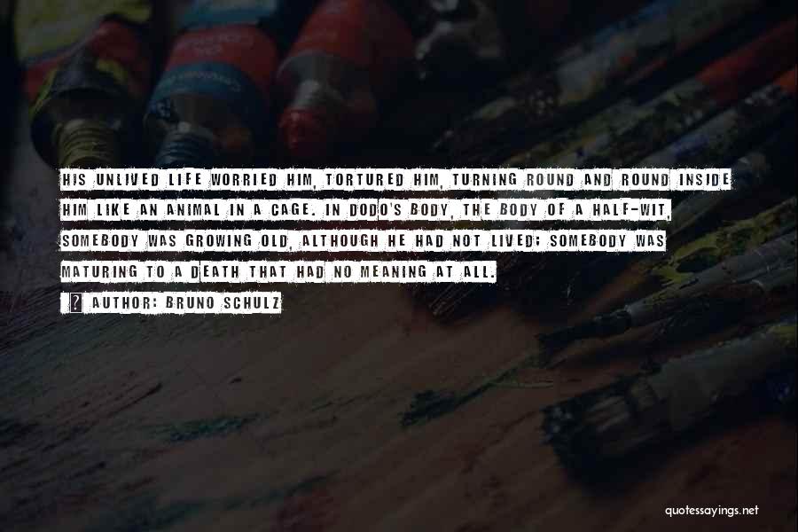 Bruno Schulz Quotes: His Unlived Life Worried Him, Tortured Him, Turning Round And Round Inside Him Like An Animal In A Cage. In