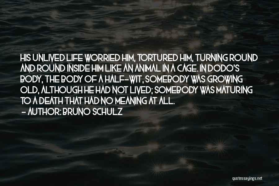 Bruno Schulz Quotes: His Unlived Life Worried Him, Tortured Him, Turning Round And Round Inside Him Like An Animal In A Cage. In