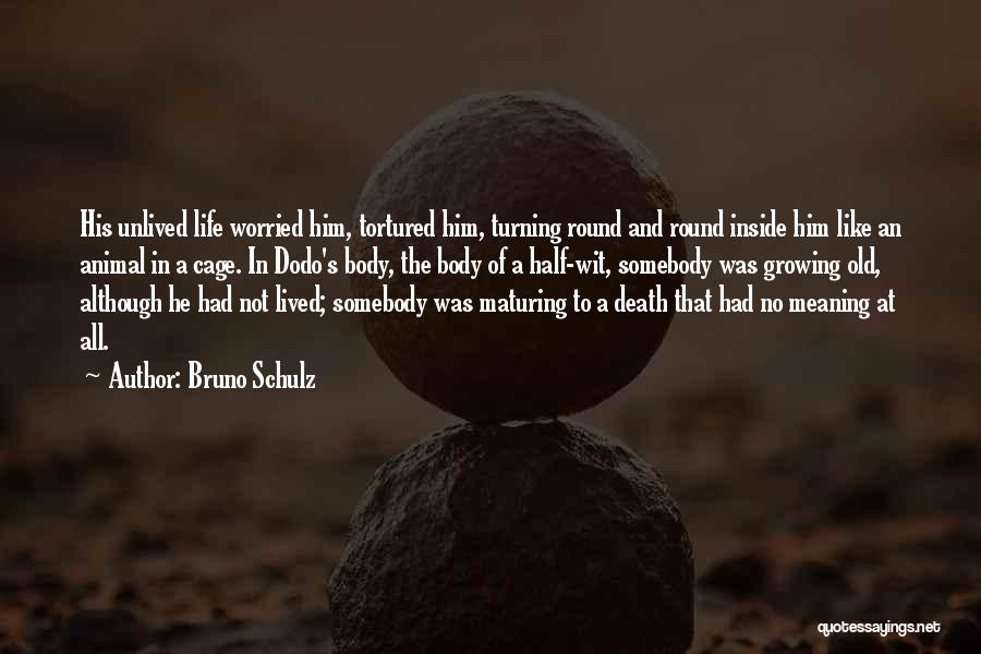 Bruno Schulz Quotes: His Unlived Life Worried Him, Tortured Him, Turning Round And Round Inside Him Like An Animal In A Cage. In