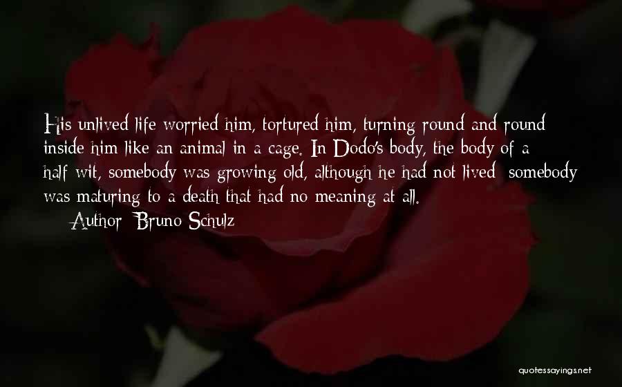 Bruno Schulz Quotes: His Unlived Life Worried Him, Tortured Him, Turning Round And Round Inside Him Like An Animal In A Cage. In