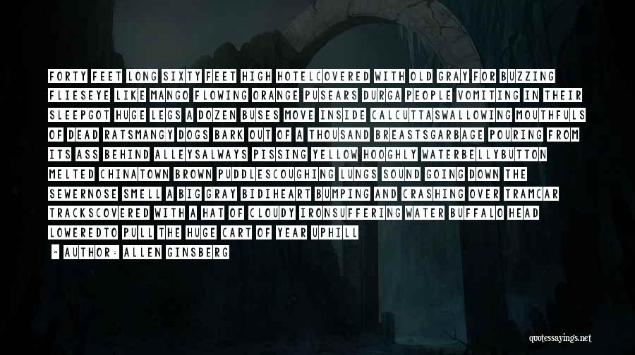 Allen Ginsberg Quotes: Forty Feet Long Sixty Feet High Hotelcovered With Old Gray For Buzzing Flieseye Like Mango Flowing Orange Pusears Durga People