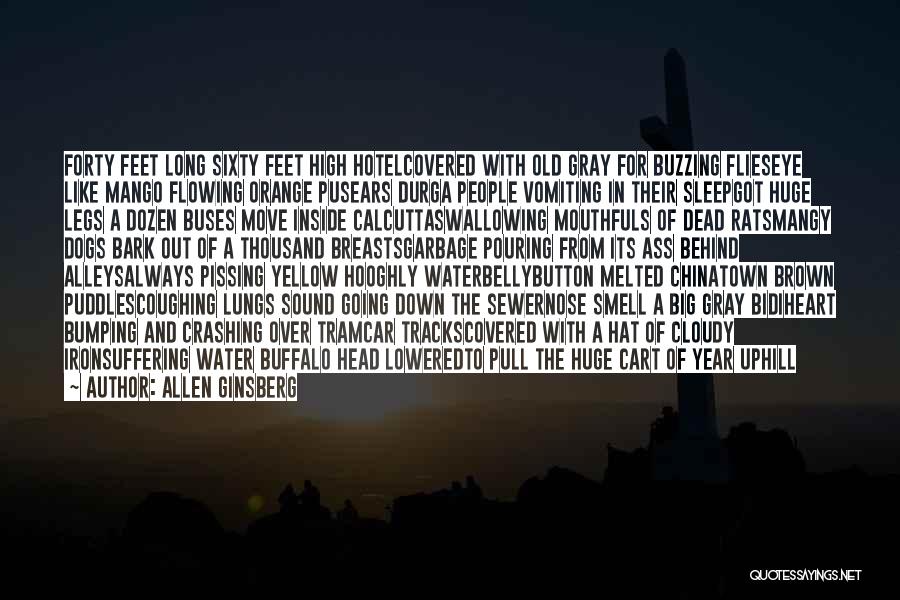 Allen Ginsberg Quotes: Forty Feet Long Sixty Feet High Hotelcovered With Old Gray For Buzzing Flieseye Like Mango Flowing Orange Pusears Durga People