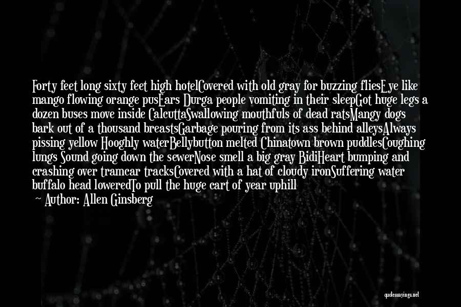 Allen Ginsberg Quotes: Forty Feet Long Sixty Feet High Hotelcovered With Old Gray For Buzzing Flieseye Like Mango Flowing Orange Pusears Durga People