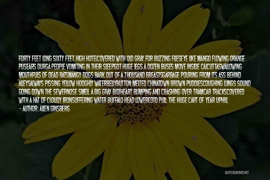 Allen Ginsberg Quotes: Forty Feet Long Sixty Feet High Hotelcovered With Old Gray For Buzzing Flieseye Like Mango Flowing Orange Pusears Durga People