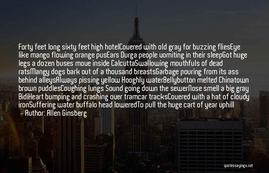 Allen Ginsberg Quotes: Forty Feet Long Sixty Feet High Hotelcovered With Old Gray For Buzzing Flieseye Like Mango Flowing Orange Pusears Durga People