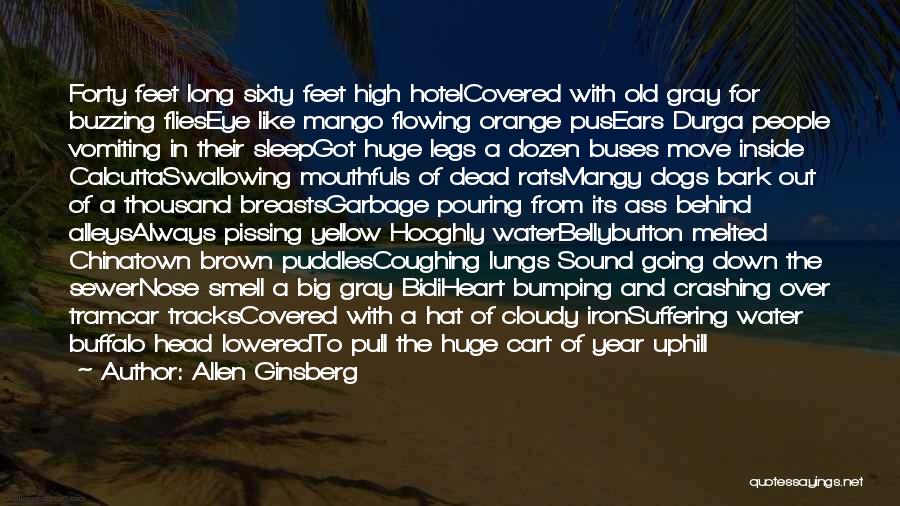 Allen Ginsberg Quotes: Forty Feet Long Sixty Feet High Hotelcovered With Old Gray For Buzzing Flieseye Like Mango Flowing Orange Pusears Durga People