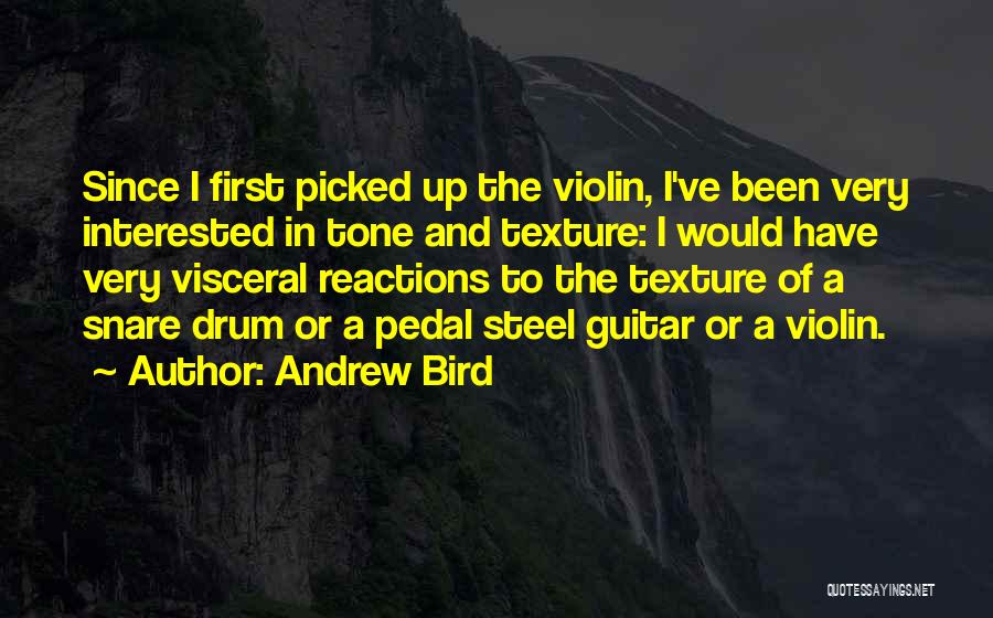 Andrew Bird Quotes: Since I First Picked Up The Violin, I've Been Very Interested In Tone And Texture: I Would Have Very Visceral