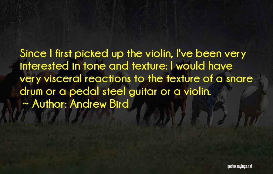 Andrew Bird Quotes: Since I First Picked Up The Violin, I've Been Very Interested In Tone And Texture: I Would Have Very Visceral