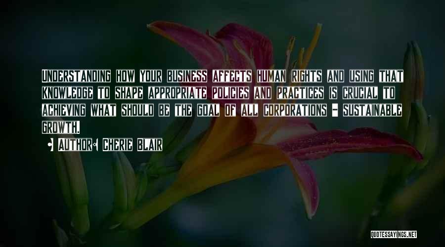 Cherie Blair Quotes: Understanding How Your Business Affects Human Rights And Using That Knowledge To Shape Appropriate Policies And Practices Is Crucial To