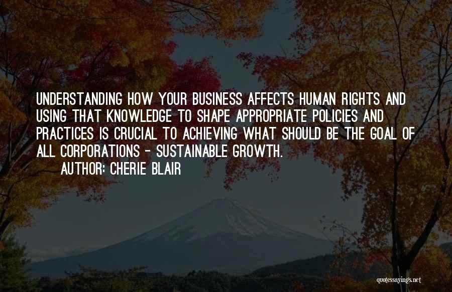 Cherie Blair Quotes: Understanding How Your Business Affects Human Rights And Using That Knowledge To Shape Appropriate Policies And Practices Is Crucial To