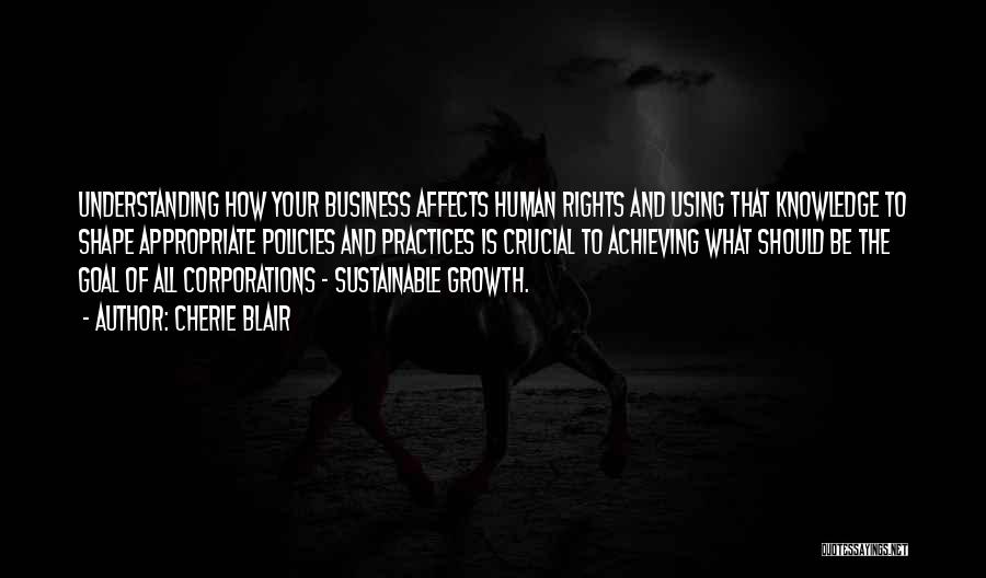 Cherie Blair Quotes: Understanding How Your Business Affects Human Rights And Using That Knowledge To Shape Appropriate Policies And Practices Is Crucial To