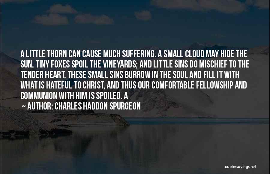 Charles Haddon Spurgeon Quotes: A Little Thorn Can Cause Much Suffering. A Small Cloud May Hide The Sun. Tiny Foxes Spoil The Vineyards; And