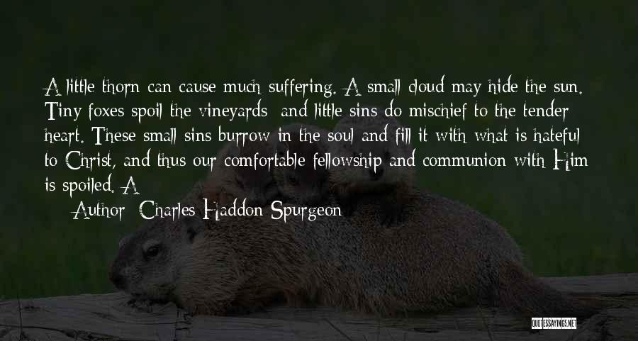 Charles Haddon Spurgeon Quotes: A Little Thorn Can Cause Much Suffering. A Small Cloud May Hide The Sun. Tiny Foxes Spoil The Vineyards; And
